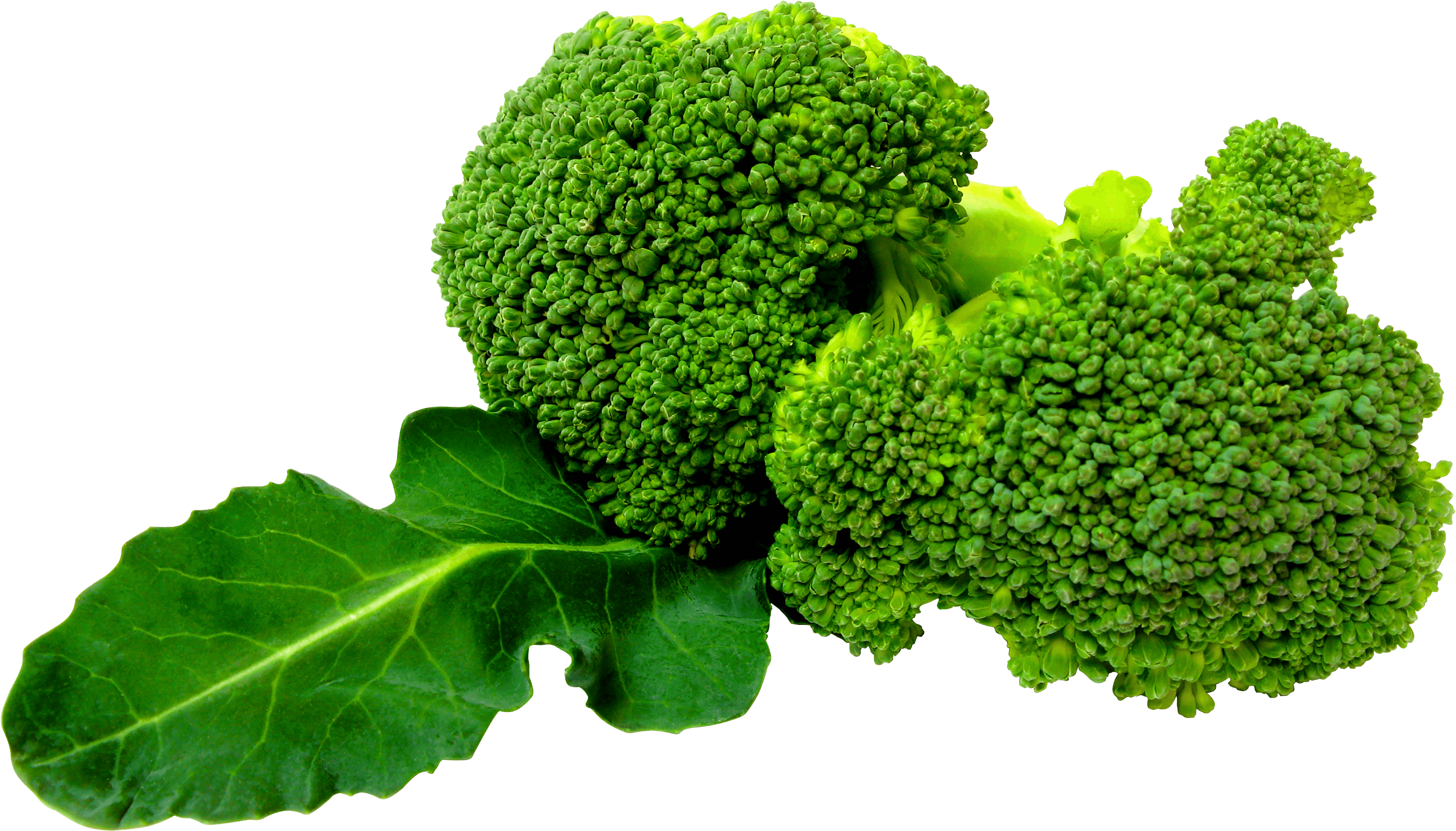 Green Broccoli Png Image Transparent PNG Image