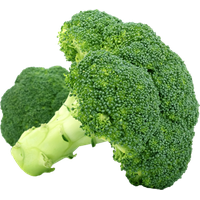 Broccoli Free Png Image PNG Image