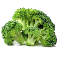 Broccoli Transparent PNG Image