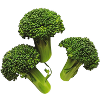 Broccoli Image Transparent PNG Image