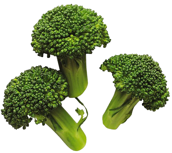 Broccoli Image PNG Image