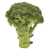 Broccoli Transparent Image Transparent PNG Image