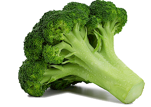 Broccoli Free Download Png PNG Image