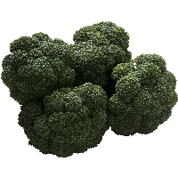 Broccoli Png Image