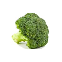 Broccoli Png Clipart PNG Image