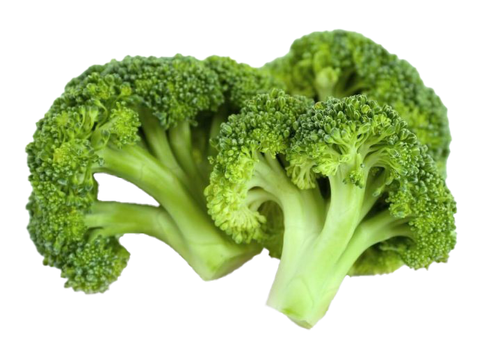 Green Broccoli Free HD Image PNG Image