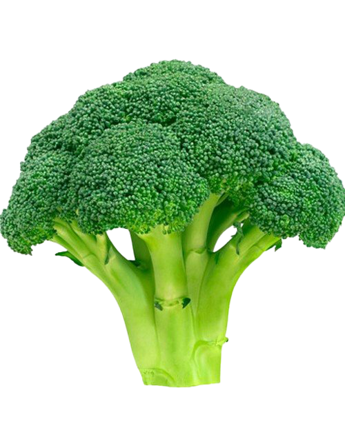 Green Broccoli HD Image Free PNG Image