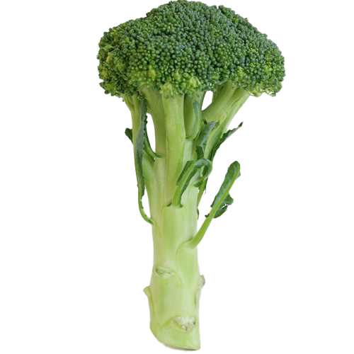 Green Broccoli HD Image Free PNG Image