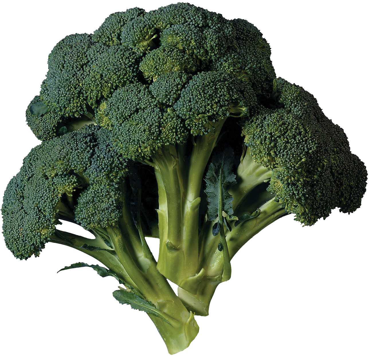 Green Broccoli PNG File HD PNG Image