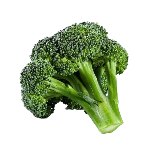 Green Broccoli Free Transparent Image HD PNG Image