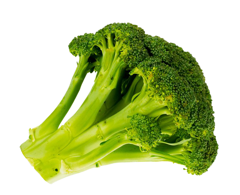 Green Broccoli PNG Free Photo PNG Image