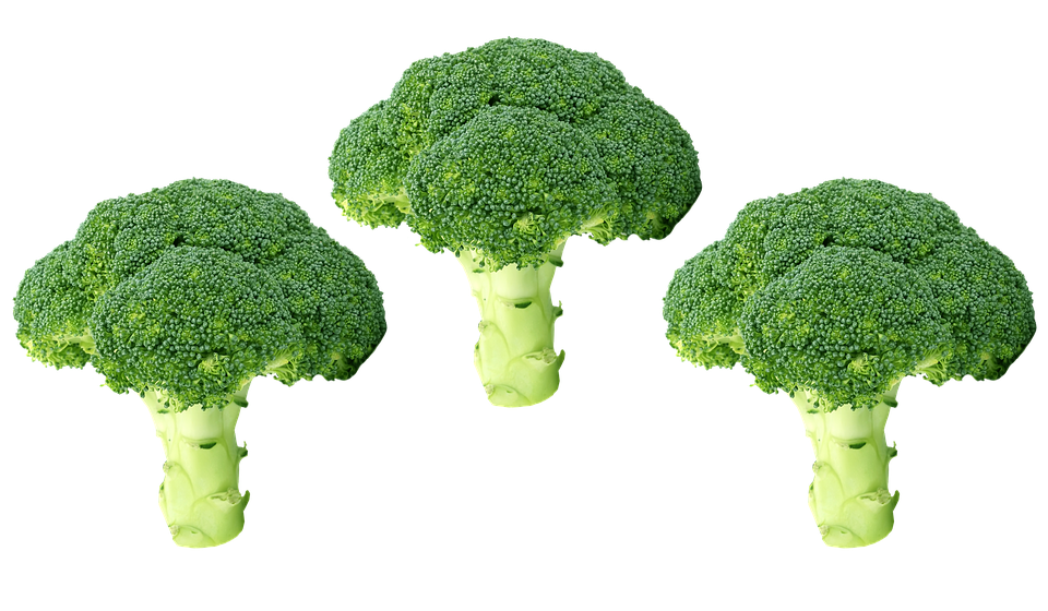 Green Broccoli PNG Image High Quality PNG Image