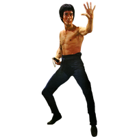 Bruce Lee File PNG Image