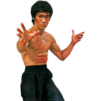 Bruce lee pics store free