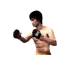 Bruce Lee Download Png PNG Image