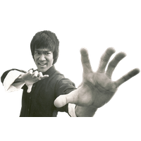 Bruce Lee Png Picture PNG Image