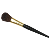 Makeup Brush Png Image PNG