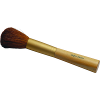 Brush Transparent PNG Image