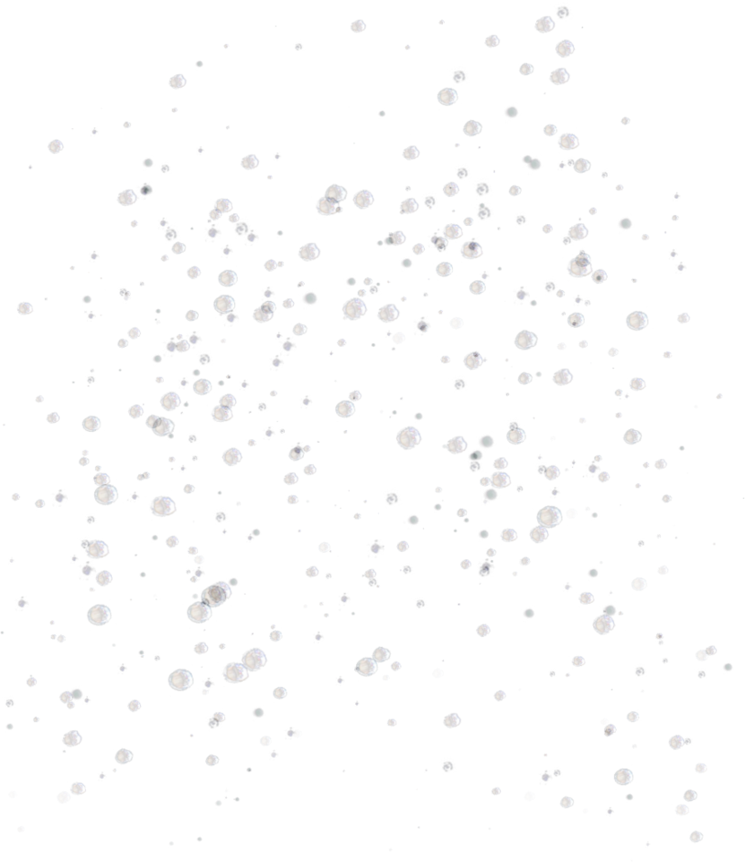Bubbles Transparent Background PNG Image