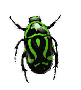 Green Bug Png Image Insect Png PNG Image