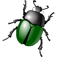 Bug Png Image