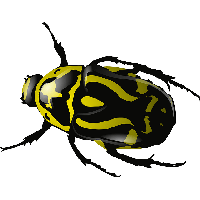 Yellow Bug Png Image