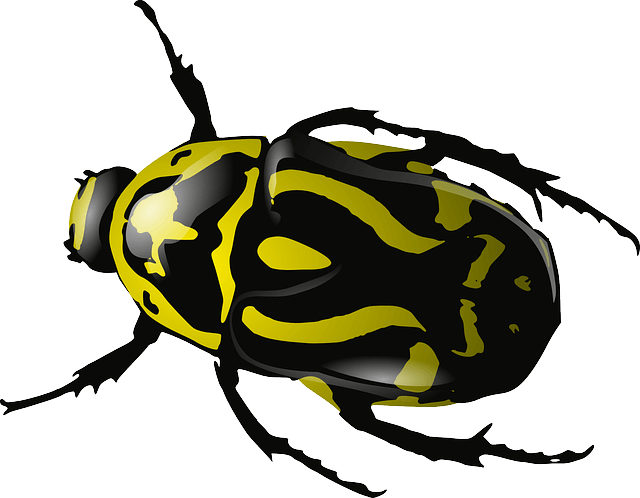 Yellow Bug Png Image Transparent PNG Image