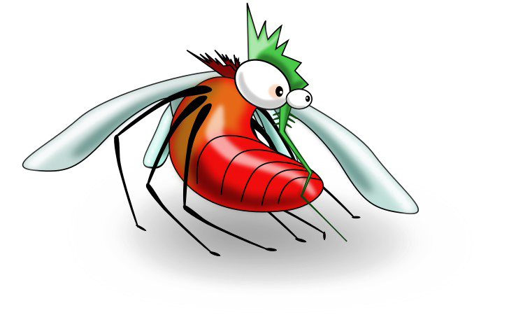 Mosquito PNG Image High Quality PNG Image