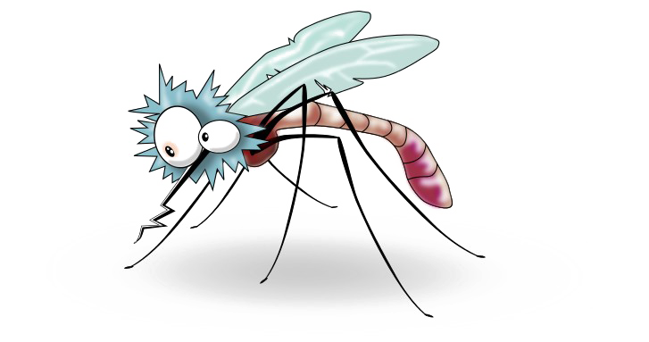 Mosquito Free HD Image PNG Image