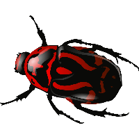 Red Insect Bug Png Image PNG Image