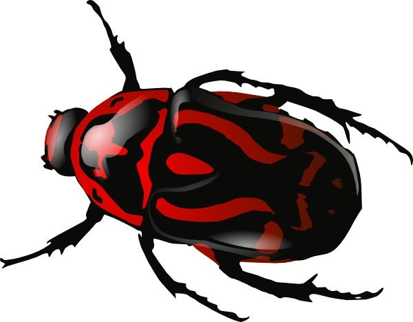 Red Insect Bug Png Image Transparent PNG Image