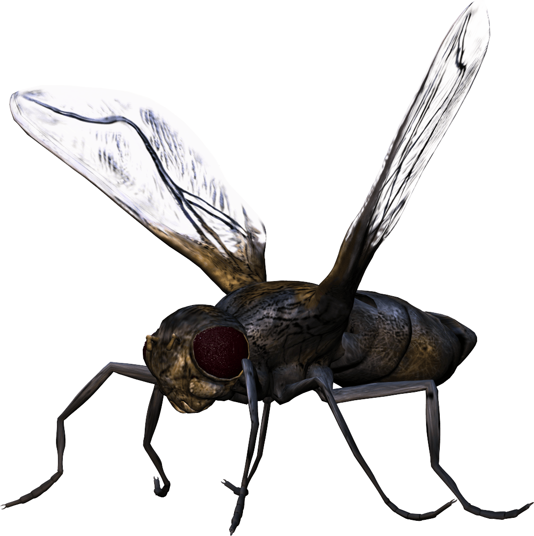 Flying Bugs Free Clipart HD PNG Image
