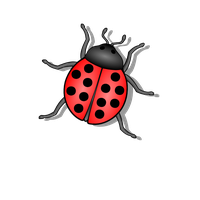 Lady Bugs Free Clipart HQ Transparent PNG Image