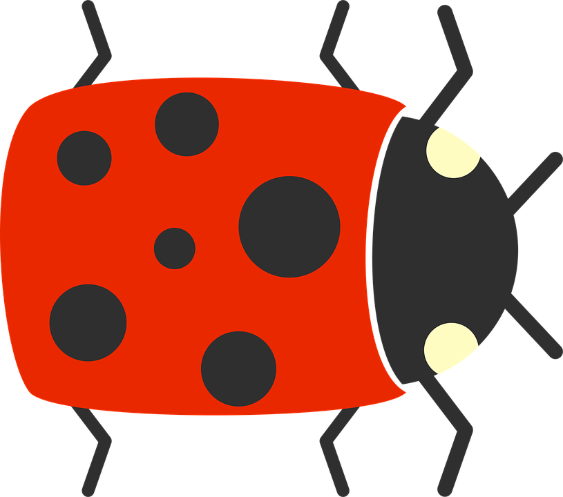 Ladybug Insect Cute HD Image Free PNG Image