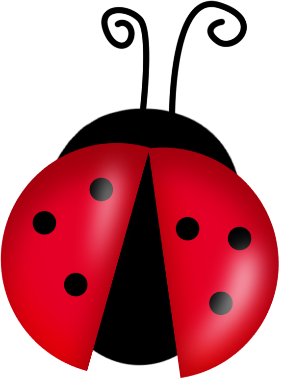 Ladybug Insect Cute Free Transparent Image HQ PNG Image
