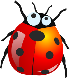 Bug Png 8 PNG Image