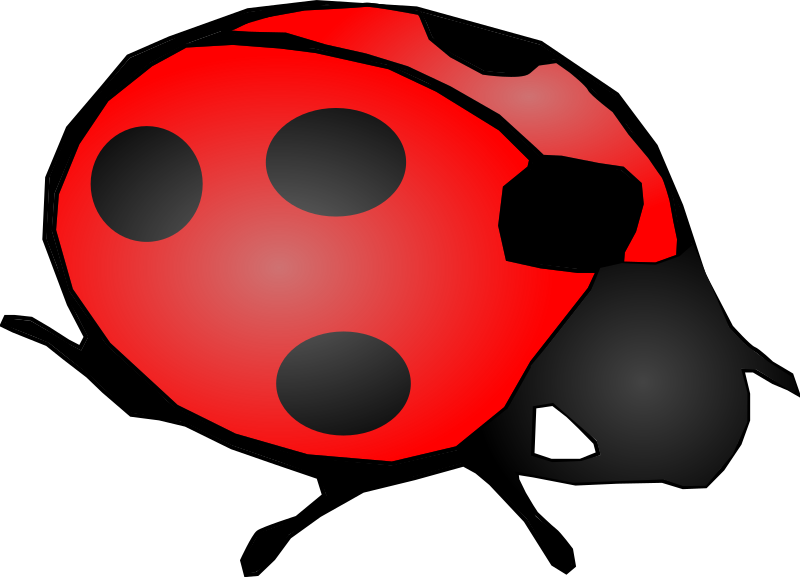 Ladybug PNG, Clipart, Beetle, Cartoon, Insect, Ladybug, Pest Free PNG  Download