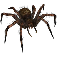 Bugs File Transparent PNG Image