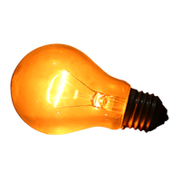 Download Bulb Free PNG photo images and clipart | FreePNGImg