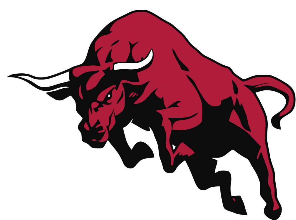 Vector Bull Free Download PNG HQ PNG Image