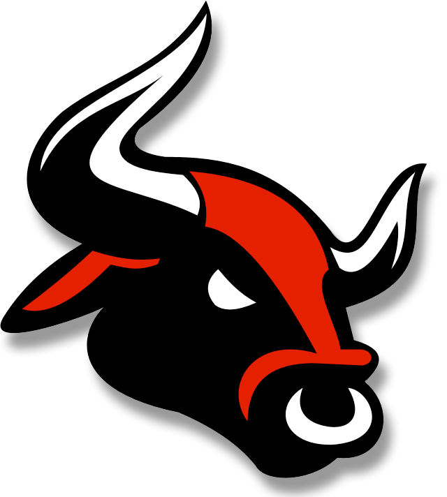 Bull Picture PNG Image