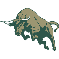 Download Bull Free PNG photo images and clipart | FreePNGimg