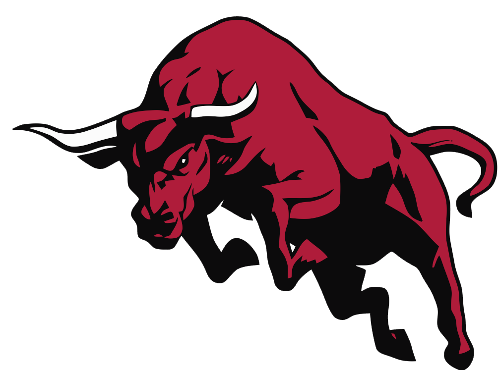 Download Bull Image HQ PNG Image | FreePNGImg