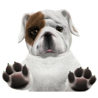 Bulldog Picture