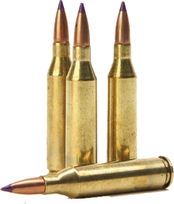 Transparent Rifle Bullets PNG Image