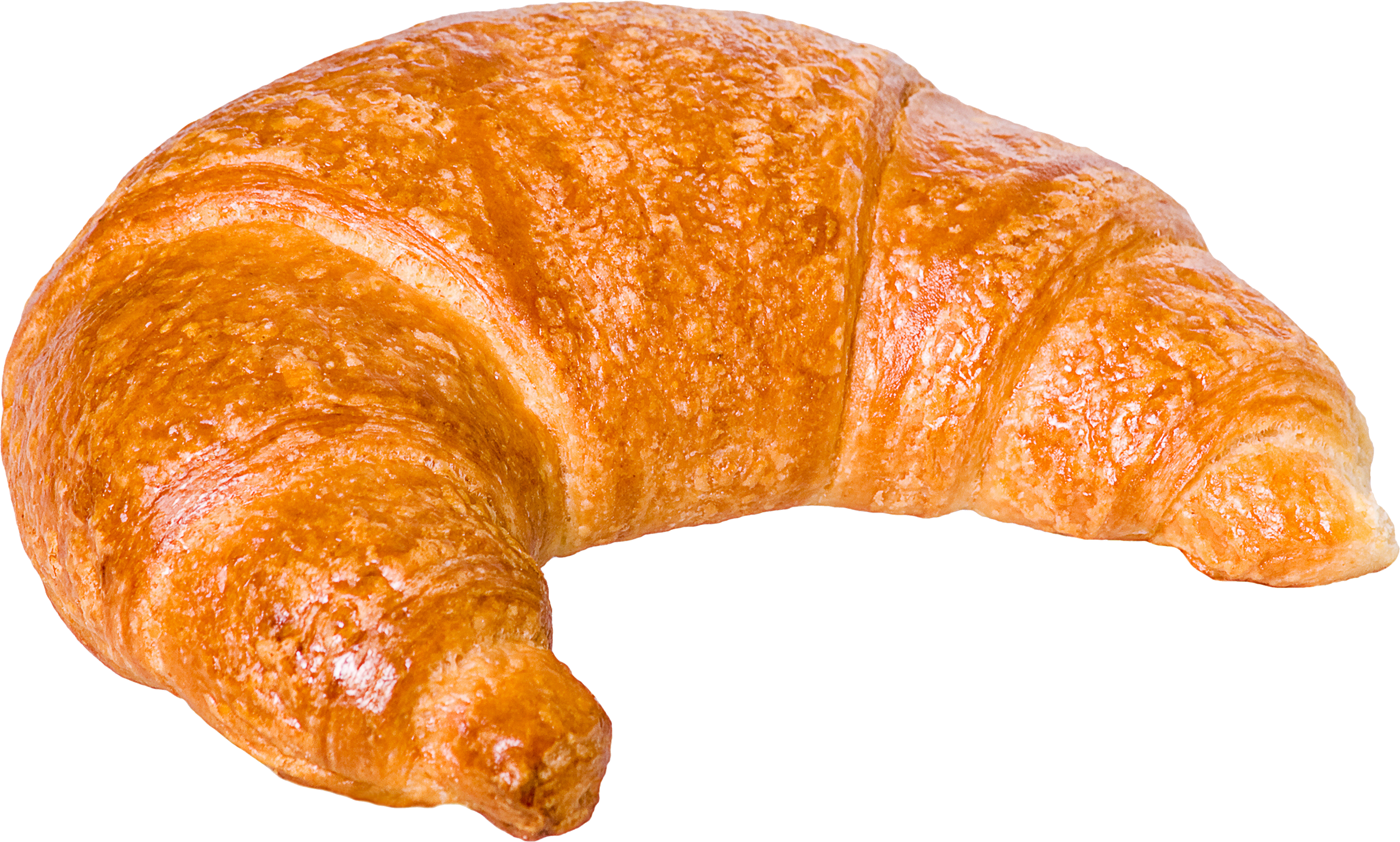 Bun Transparent PNG Image