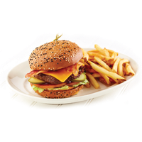 Download Burger Free PNG photo images and clipart | FreePNGImg