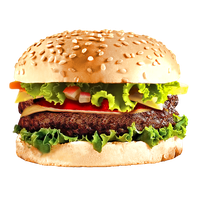 Download Burger Free PNG photo images and clipart FreePNGImg