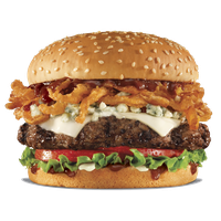 download burger free png photo images and clipart freepngimg download burger free png photo images