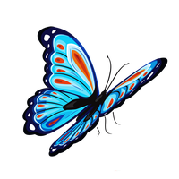 Butterfly Png PNG Image